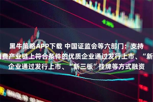 黑牛策略APP下载 中国证监会等六部门：支持生产、渠道、终端等消费产业链上符合条件的优质企业通过发行上市、“新三板”挂牌等方式融资