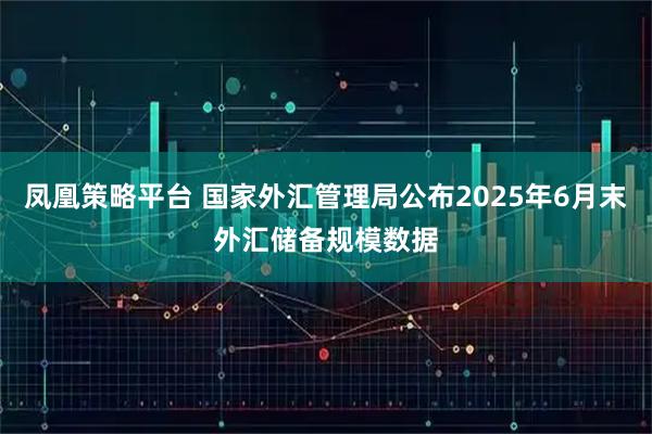 凤凰策略平台 国家外汇管理局公布2025年6月末外汇储备规模数据