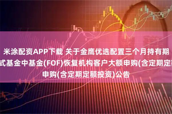 米涂配资APP下载 关于金鹰优选配置三个月持有期混合型发起式基金中基金(FOF)恢复机构客户大额申购(含定期定额投资)公告