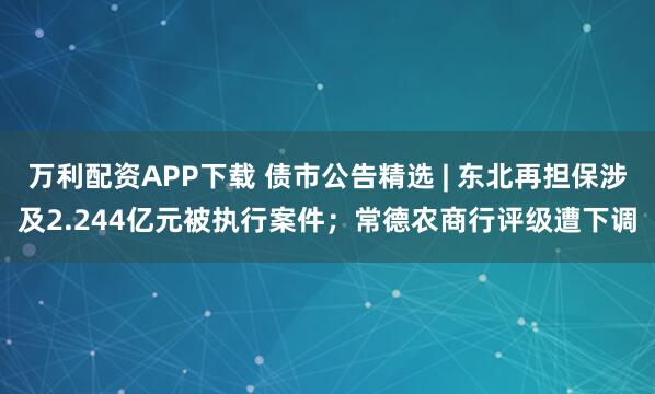 万利配资APP下载 债市公告精选 | 东北再担保涉及2.244亿元被执行案件；常德农商行评级遭下调